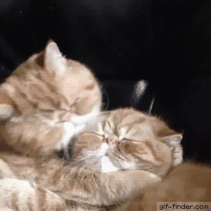 격하게 아낀다 | 인스티즈