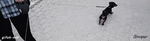 움짤에 표정 씌우기.gif | 인스티즈