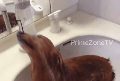 물살 즐길 줄 아는 녀석 | 인스티즈