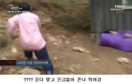 말벌잡는아저씨ㅋㅋㅋㅋㅋㅋㅋㅋ | 인스티즈