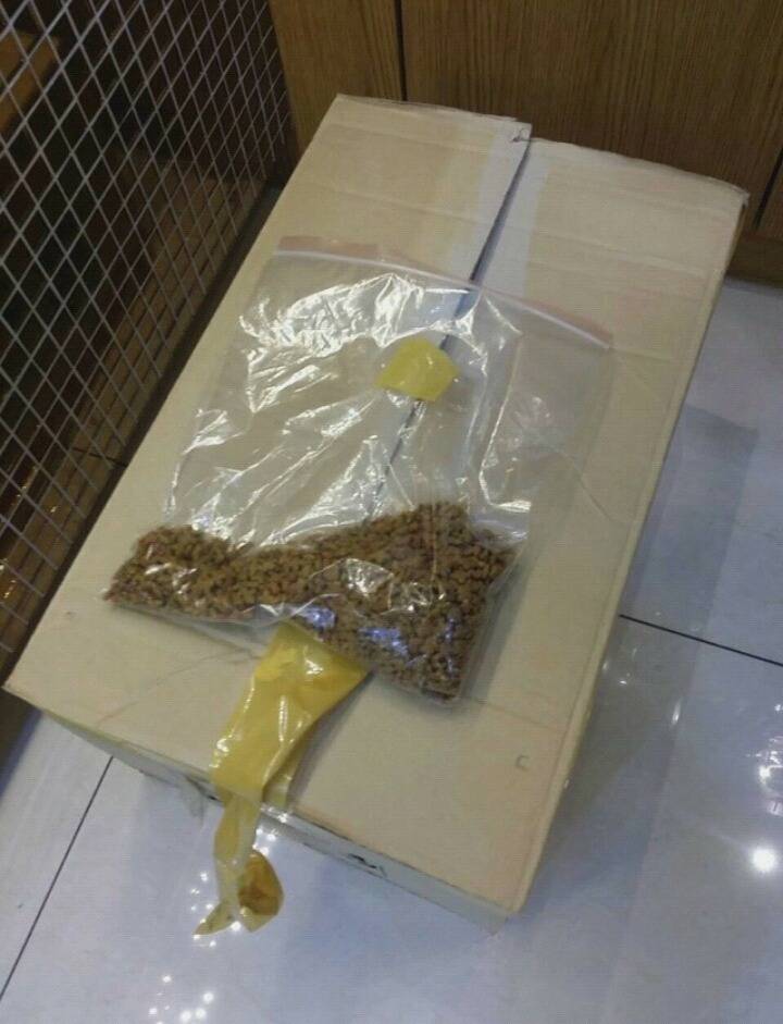 한 초등학생이 동물병원에 놓고 간 4마리의 고양이와 편지.JPG | 인스티즈