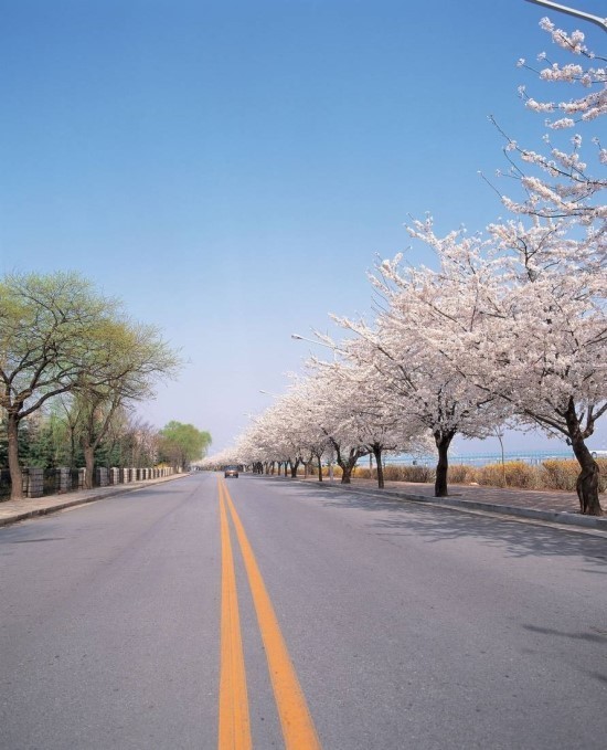 100일 뒤.jpg | 인스티즈