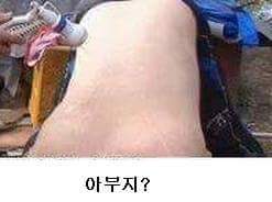 말벌잡는아저씨ㅋㅋㅋㅋㅋㅋㅋㅋ | 인스티즈