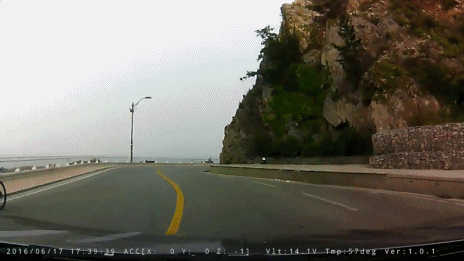 역주행하는 자라니.gif | 인스티즈