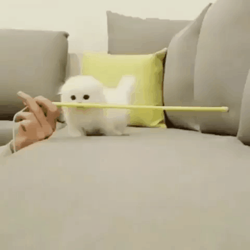 이정도쯤이야.gif | 인스티즈