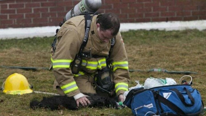 생명의 소중함을 누구보다 잘 아는 사람들 | 인스티즈