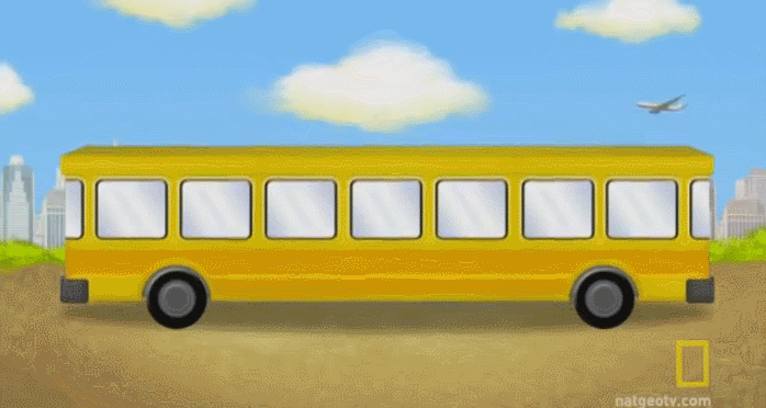 버스는 어느쪽으로 갈까요? | 인스티즈