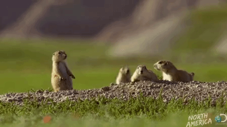 눈치게임....시작! | 인스티즈