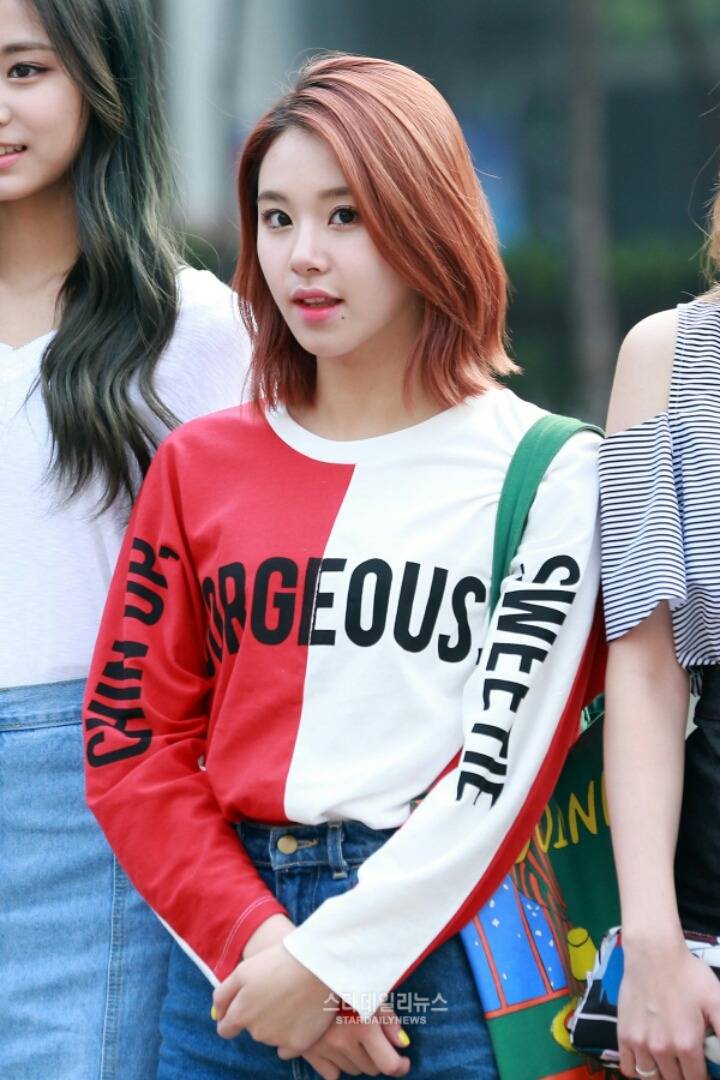 [트와이스] 급식단 출퇴근길 모음 | 인스티즈