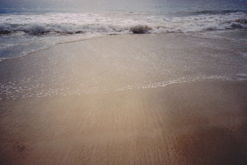 그리움을 모아 태우면 어떤 냄새가 날까 | 인스티즈