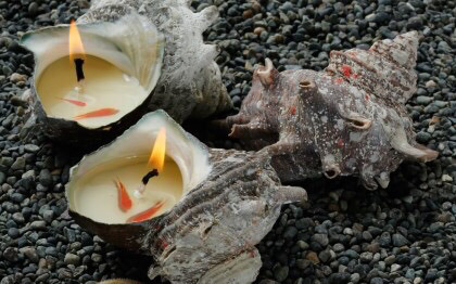 물고기를 품은 소이캔들 | 인스티즈