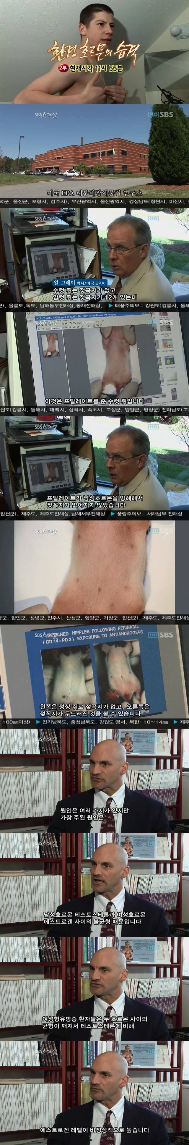 우리가 자연 임신이 어려운 이유 -환경호르몬의 습격 2부 | 인스티즈