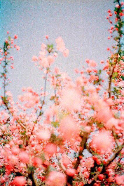 가장 좋아하는 계절은? | 인스티즈