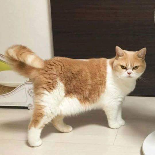 여자들 배고플 때 표정.JPG | 인스티즈