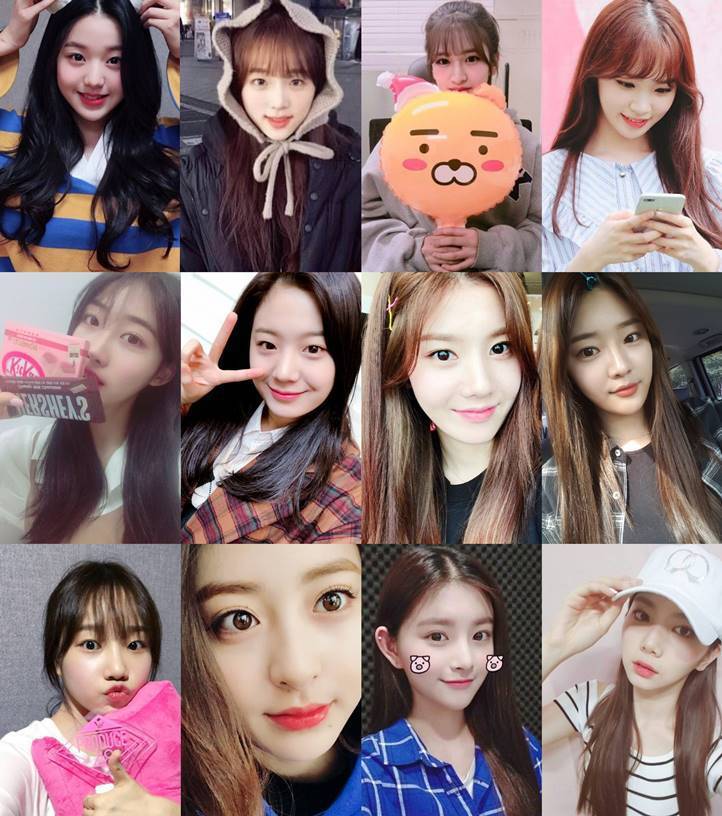 [프듀48] 위에화 스타쉽 플레디스 울림 스톤뮤직 | 인스티즈