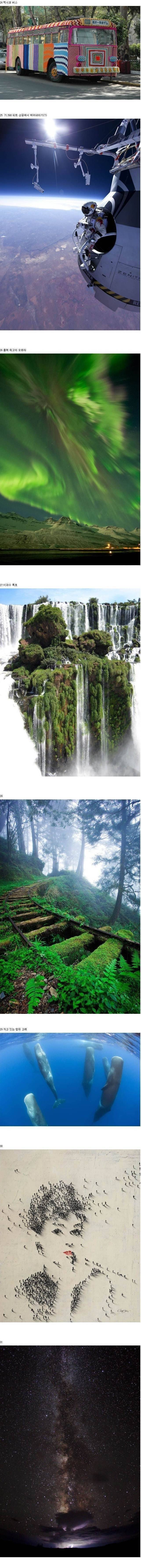 세계의 기묘한 순간포착 | 인스티즈