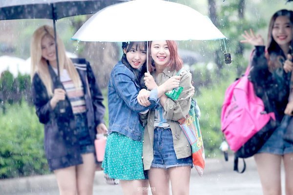 [트와이스] 급식단 출퇴근길 모음 | 인스티즈