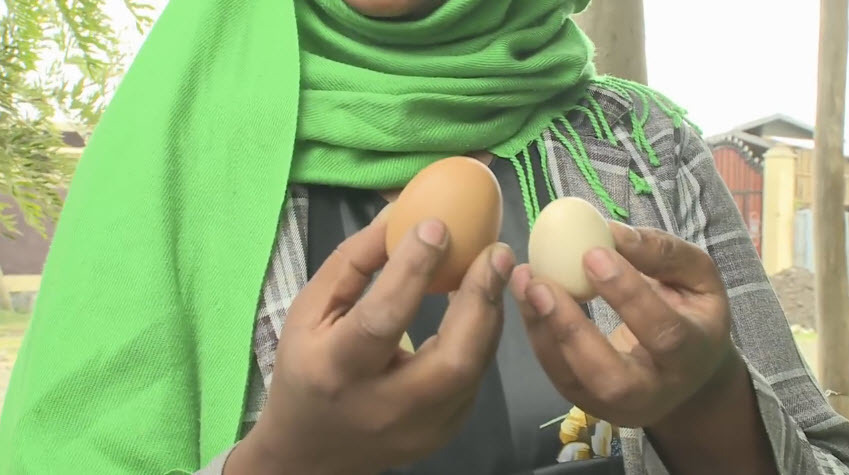 LG가 아프리카에서 하고 있는 "문명" 게임....LG가 또~ | 인스티즈