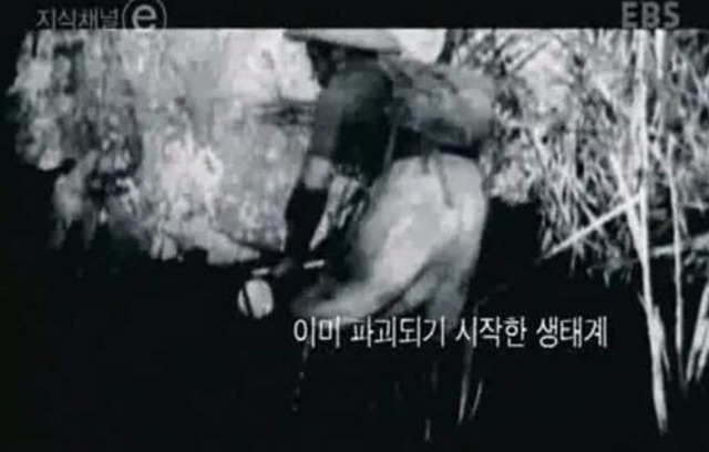 모기가 사라져서는 안되는 이유.FACT | 인스티즈