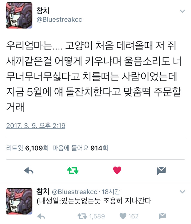 엄마 : 고양이?! 저런 쥐새끼같은걸 어떻게 키워!! | 인스티즈