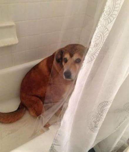 지들도 잘못한 건 알아갖고 ㅋㅋ | 인스티즈