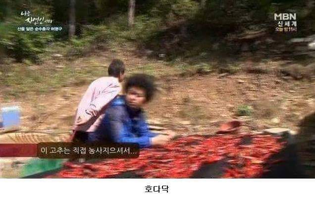 말벌잡는아저씨ㅋㅋㅋㅋㅋㅋㅋㅋ | 인스티즈