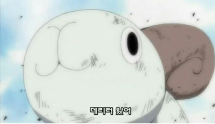 한때 밀집모자 해적단의 동료.... | 인스티즈