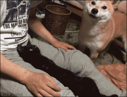 나는 아무 생각이 없다.gif | 인스티즈