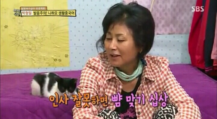 내가 이러려고 고양이됐나? | 인스티즈