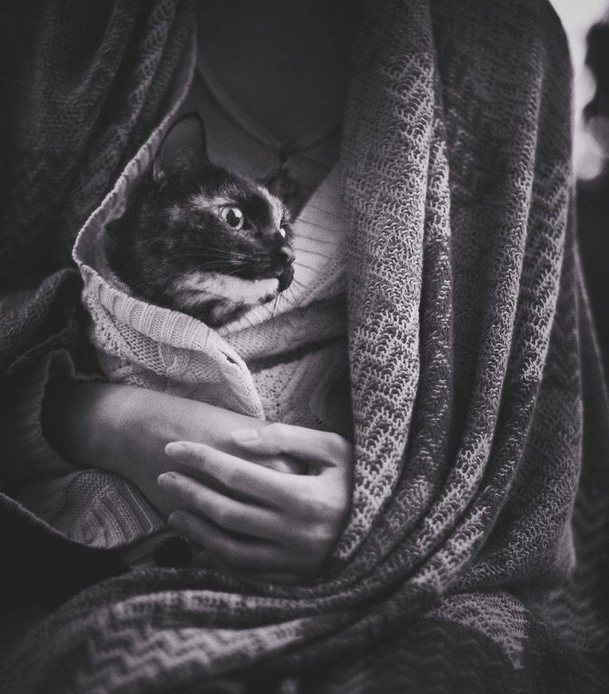 고양이의 사계절...jpg | 인스티즈