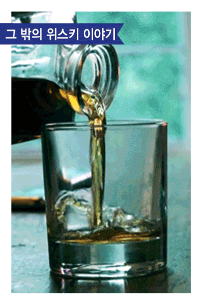 아는 만큼 보이는 위스키의 품격 | 인스티즈