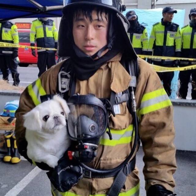 동물 구하는 소방관 | 인스티즈