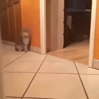 순간이동.gif | 인스티즈