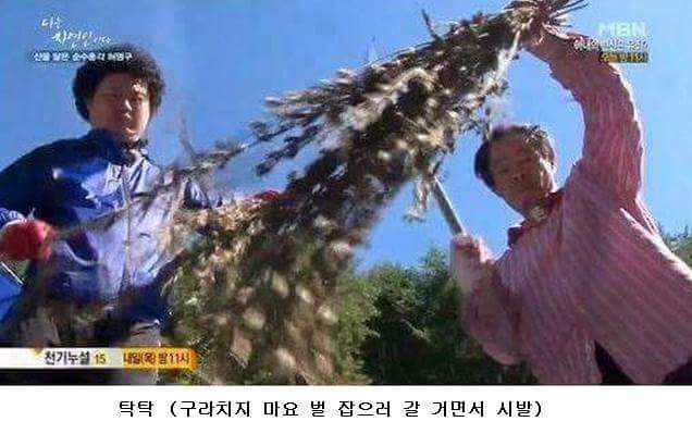 말벌잡는아저씨ㅋㅋㅋㅋㅋㅋㅋㅋ | 인스티즈