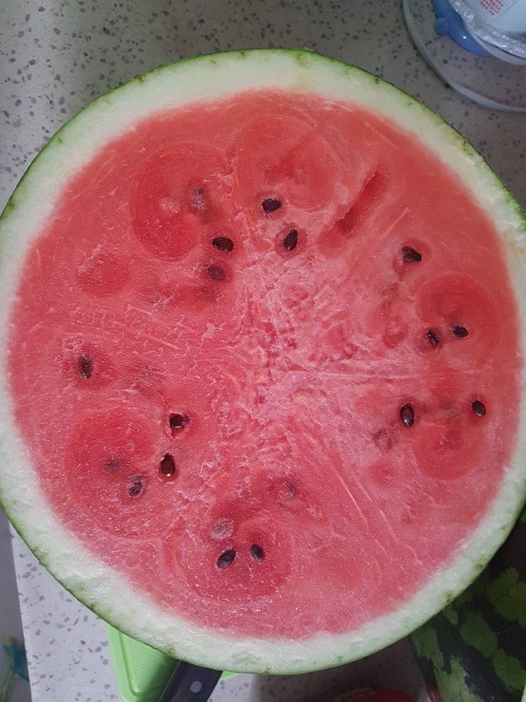 많은 사람들이 모르고있는 수박 모자이크병 | 인스티즈