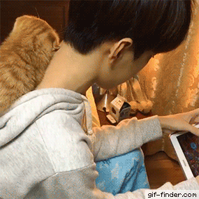 집에서 후드티 입는 이유 | 인스티즈