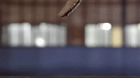 주인님이 착지하는법 | 인스티즈