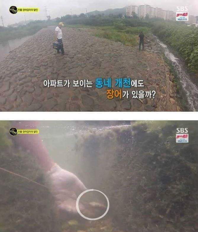 장어의 효과 | 인스티즈