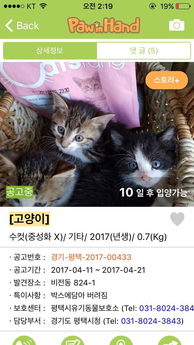 반려동물 키워보고 싶은 사람들에게 추천하는 어플 | 인스티즈