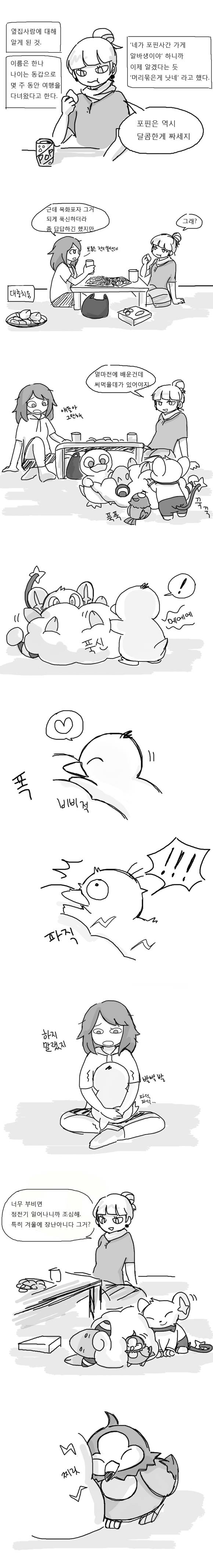 [포켓몬] 일상다반사 3~5 | 인스티즈