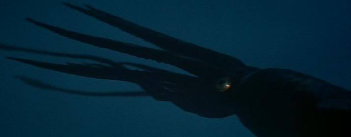 현실에 존재하는 신기한 생명체들.jpg | 인스티즈