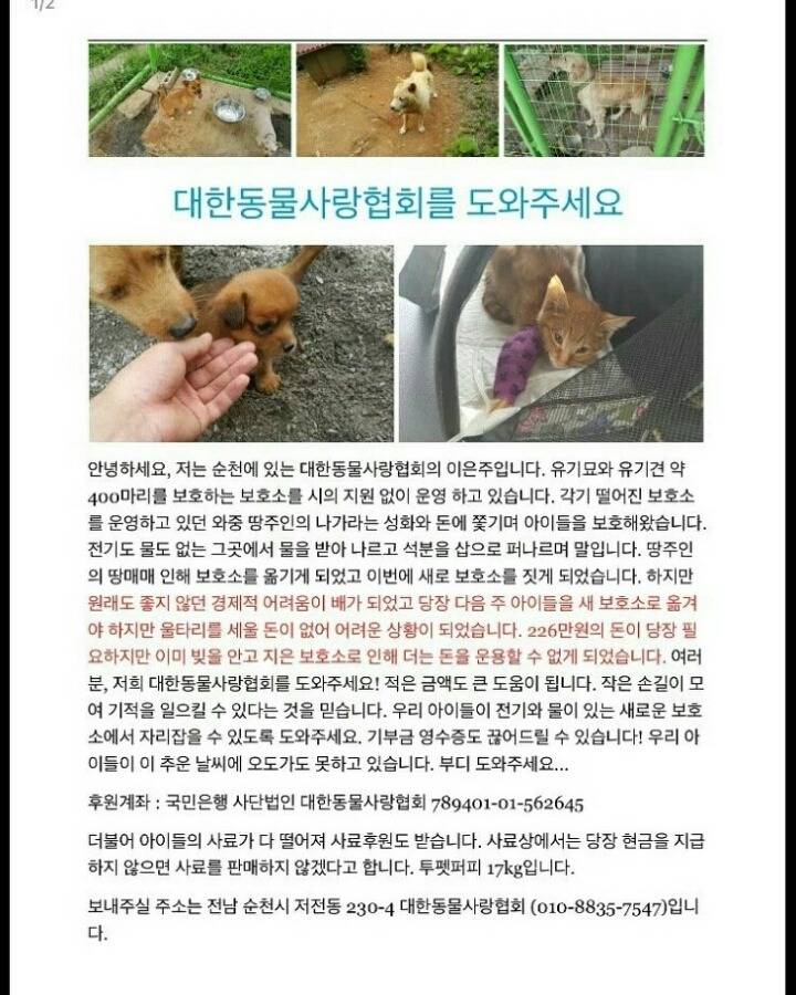 집에 아이들이 안먹는 사료 보내주세요 | 인스티즈