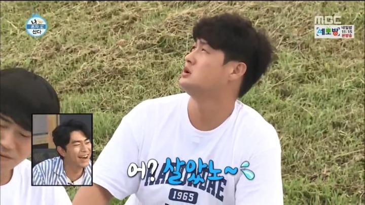 한강에서 갈매기를 본 부산人 | 인스티즈