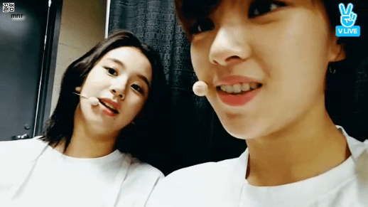 미국가서도 브이앱하는 트와이스 | 인스티즈