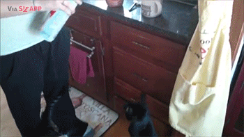 맛있는건 나눠먹는거라고 했다냥 | 인스티즈