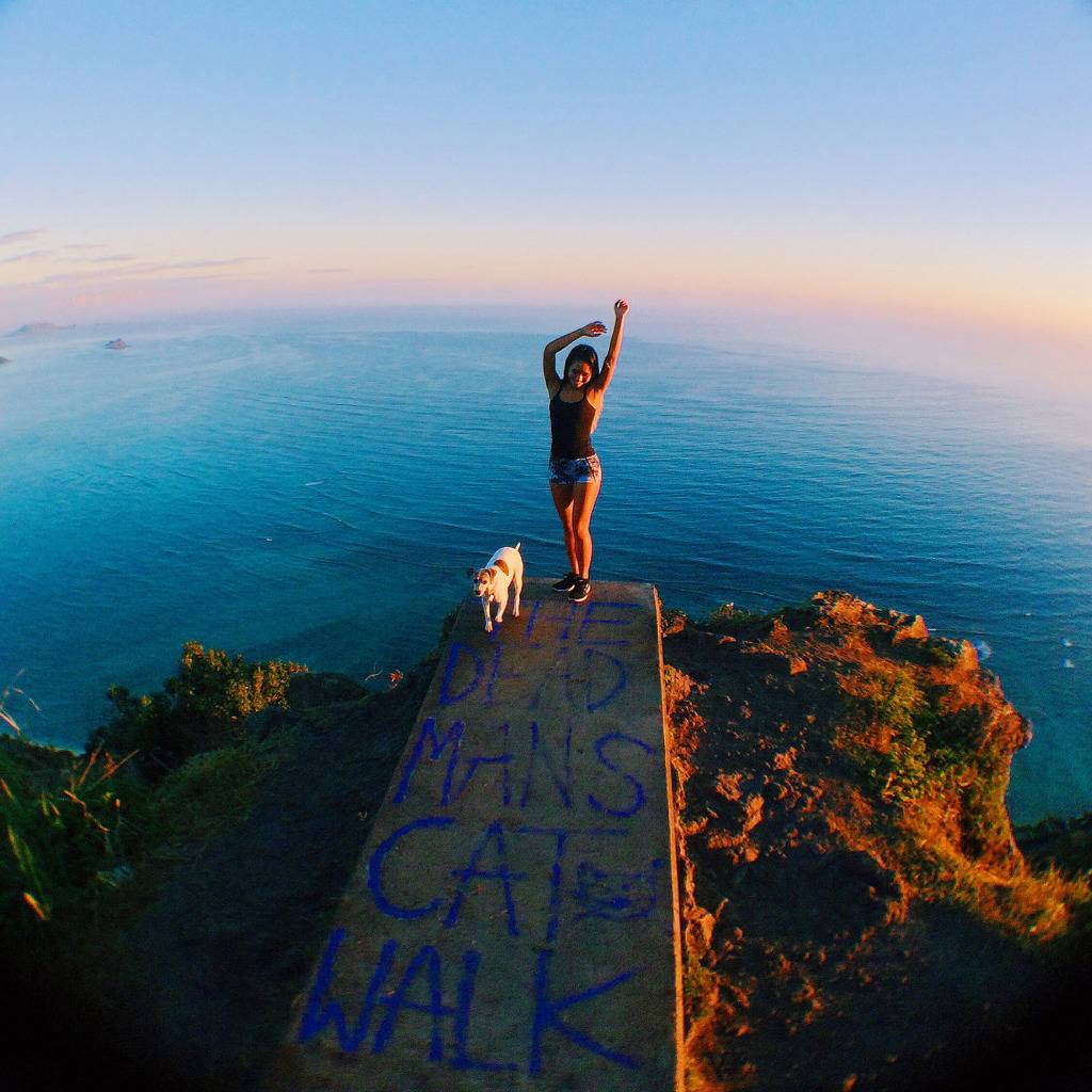 다들 신혼여행갈때 하와이 하와이 하는 이유 | 인스티즈