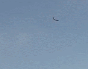 양아치 VS 프로 파이터 | 인스티즈