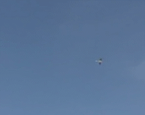 양아치 VS 프로 파이터 | 인스티즈