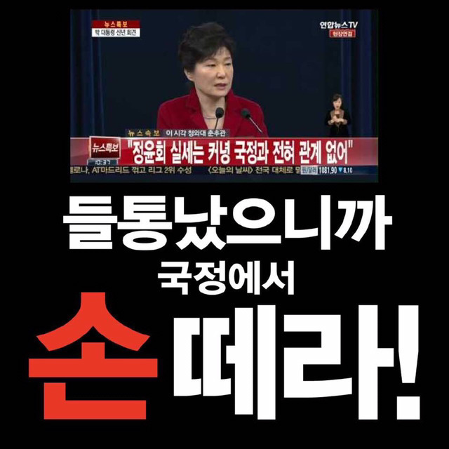 역시 전문가인 손혜원의원 클래스ㄷㄷㄷㄷ | 인스티즈