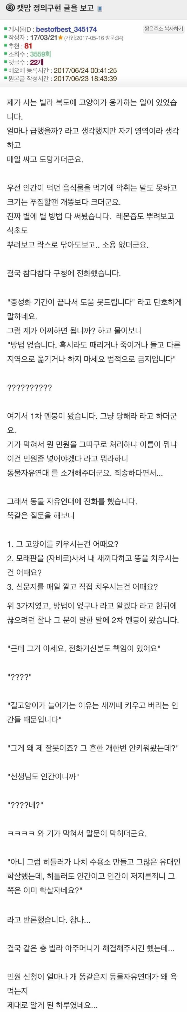 길고양이때문에 민원넣은 썰 | 인스티즈